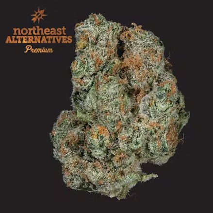 Photograph of product: Bud Bar | Pineapple Express (TAX INCLUDED) - 28g