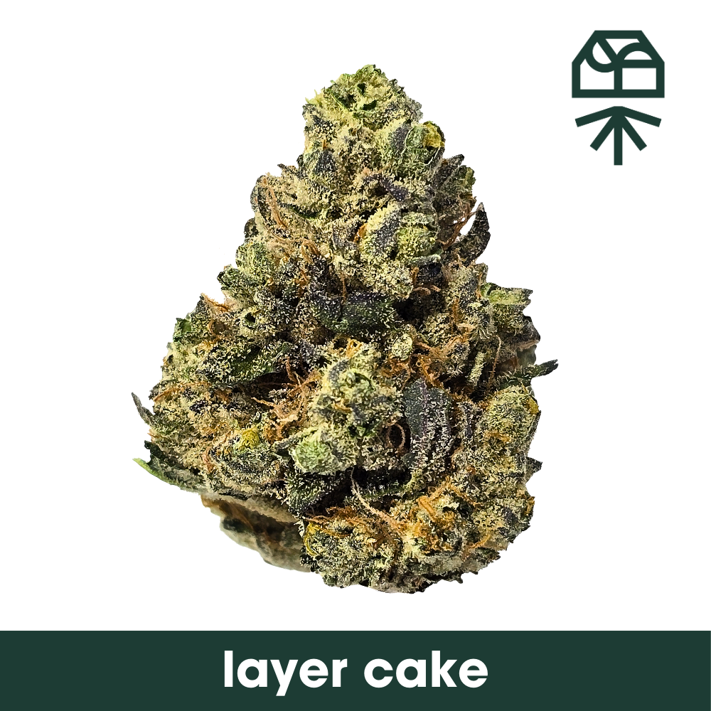 Photograph of product: Layer Cake Whole Flower - 14g
