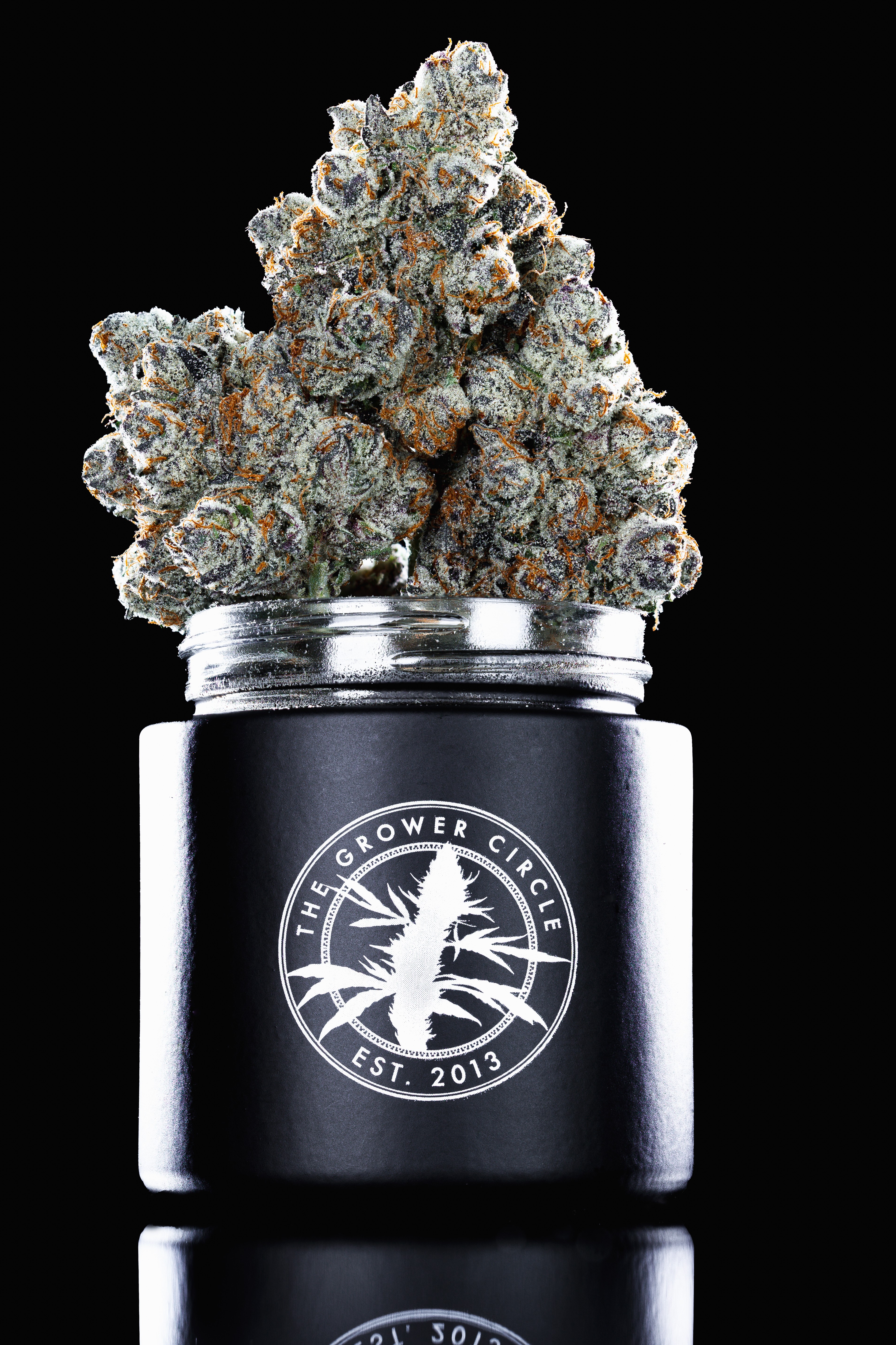 Photograph of product: The Grower Circle - Flower - Rotten Lemons (H) - 3.5g