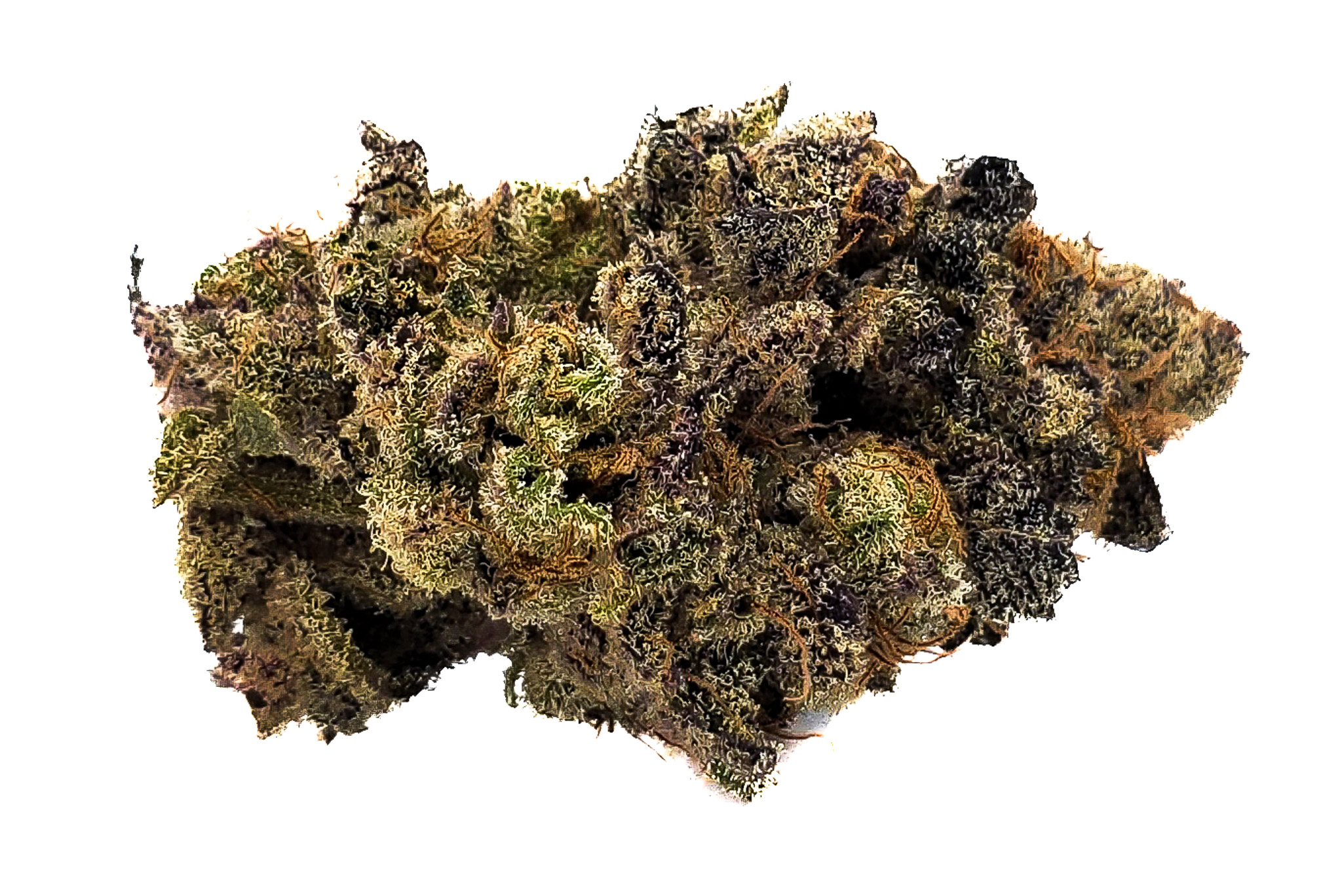Photograph of product: Focus North | Unicorn Poop - 28g