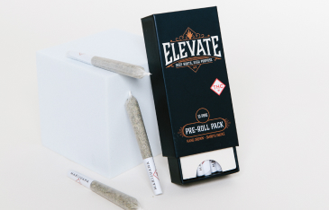 Photograph of product: Elevate - Prerolls 10pk - Hell's OG (I) (5.0g)
