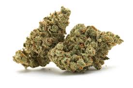 Photograph of product: Guerilla Grown | Presidential Runtz | Deli-Style Flower - 28g