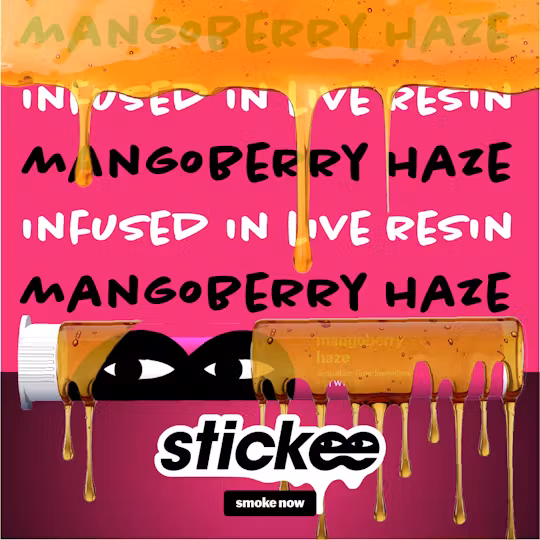 Photograph of product: Stickee | Live Resin Infused Pre-Roll | Mangoberry Haze | 1.2g