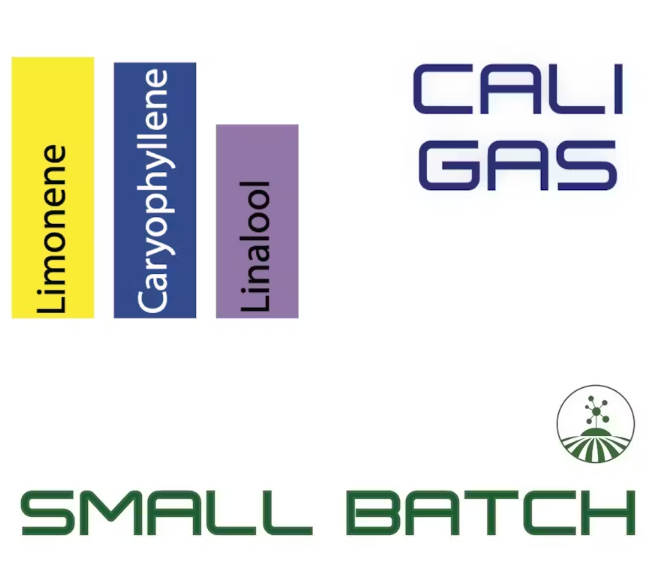 Photograph of product: Molecular Farms |  Cali Gas  | Pre-Packaged Flower | 3.5g