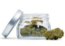 Photograph of product: Indulge | Baby Back - 7g