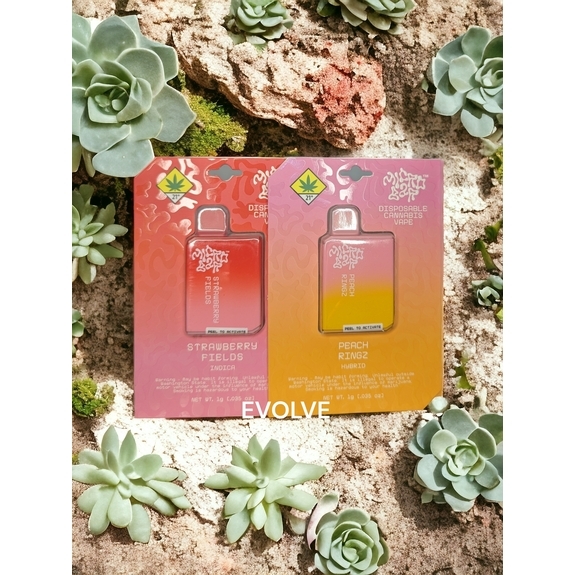Photograph of product: 1g Strawberry Fields Disposable - MicroBar