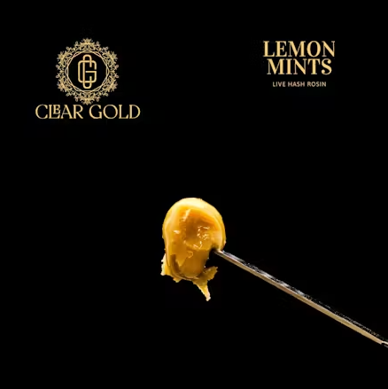 Photograph of product: Lemon Mints Live au chocolat Rosin 1g (TAX INCLUDED)
