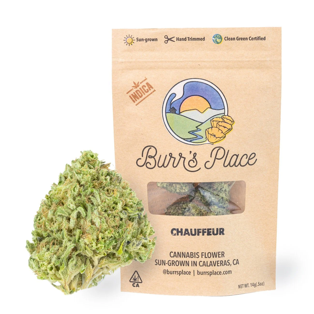 Photograph of product: Chauffeur (I) Burr's Place 14g