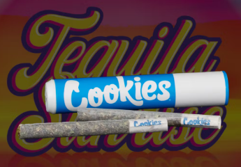 Photograph of product: Tequila Sunrise Pre-Roll 2pk