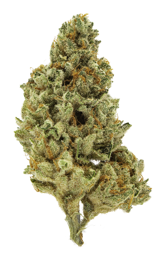 Photograph of product: Cap Junky | 3.5 -  3.5g