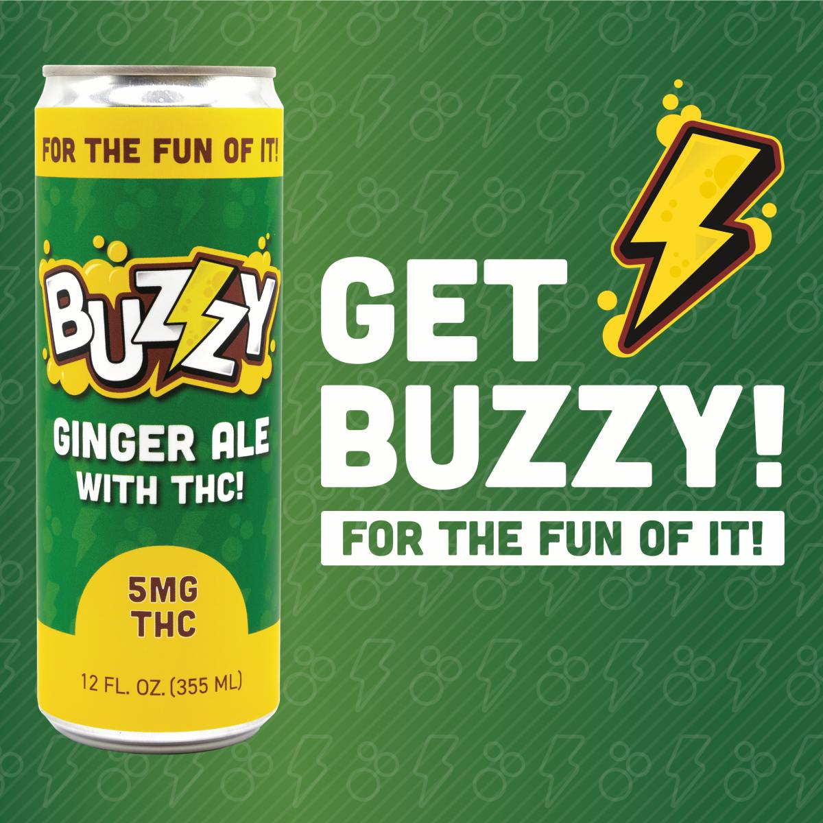 Photograph of product: Buzzy Ginger Ale | 5mg Soda | Novel Beverage Co.