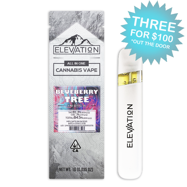 Photograph of product: BLUEBERRY TREE (1G) - ALL-IN-ONE