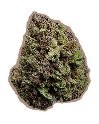 Photograph of product: Gage Farms Blueberry Cupcake Flower 3.5g