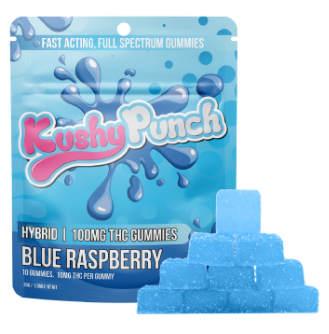 Photograph of product: Blue Raspberry | Gummies | 10pk 100mg