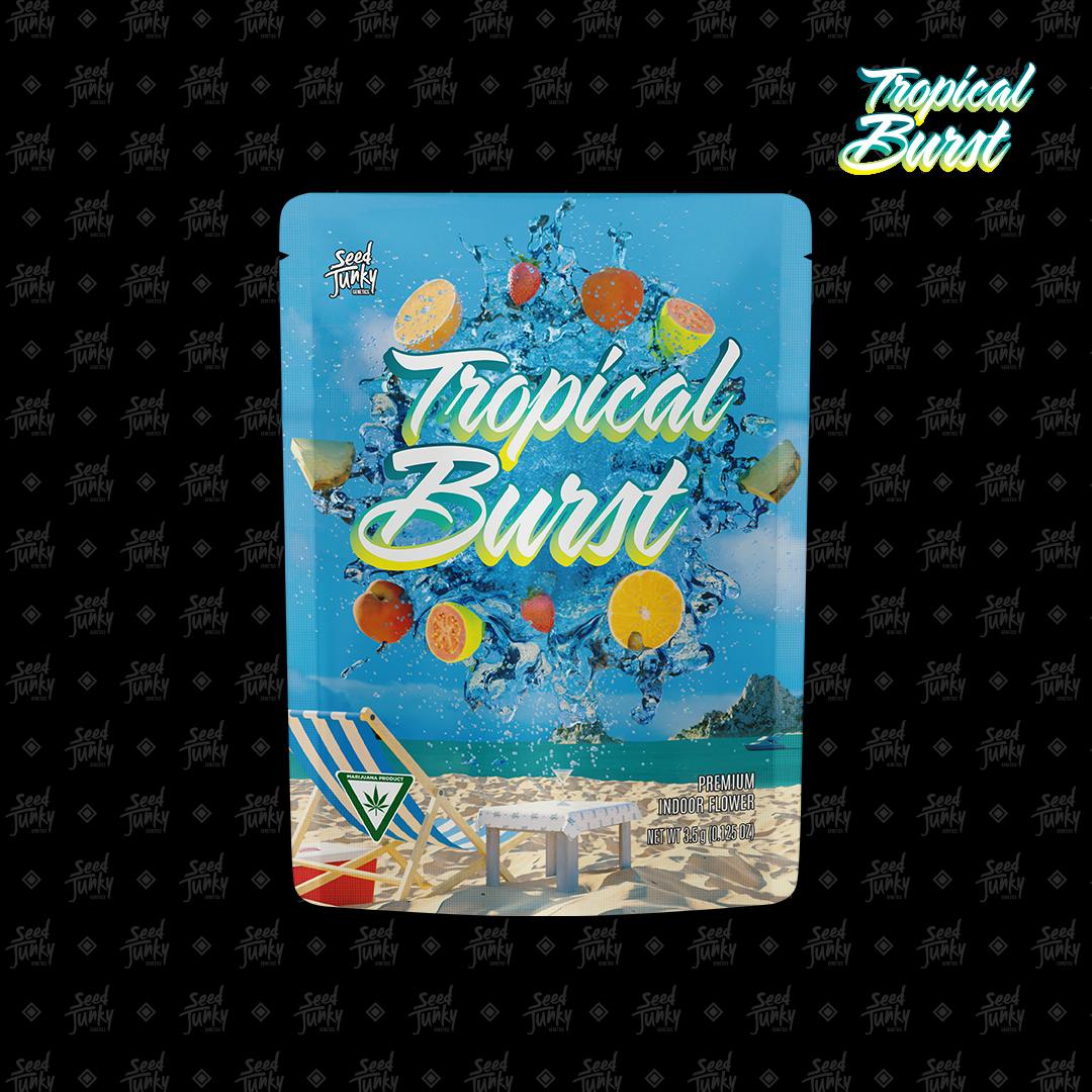 Photograph of product: Seed Junky - Zebra Ztripez - Pre-Pack Eighth - 28g