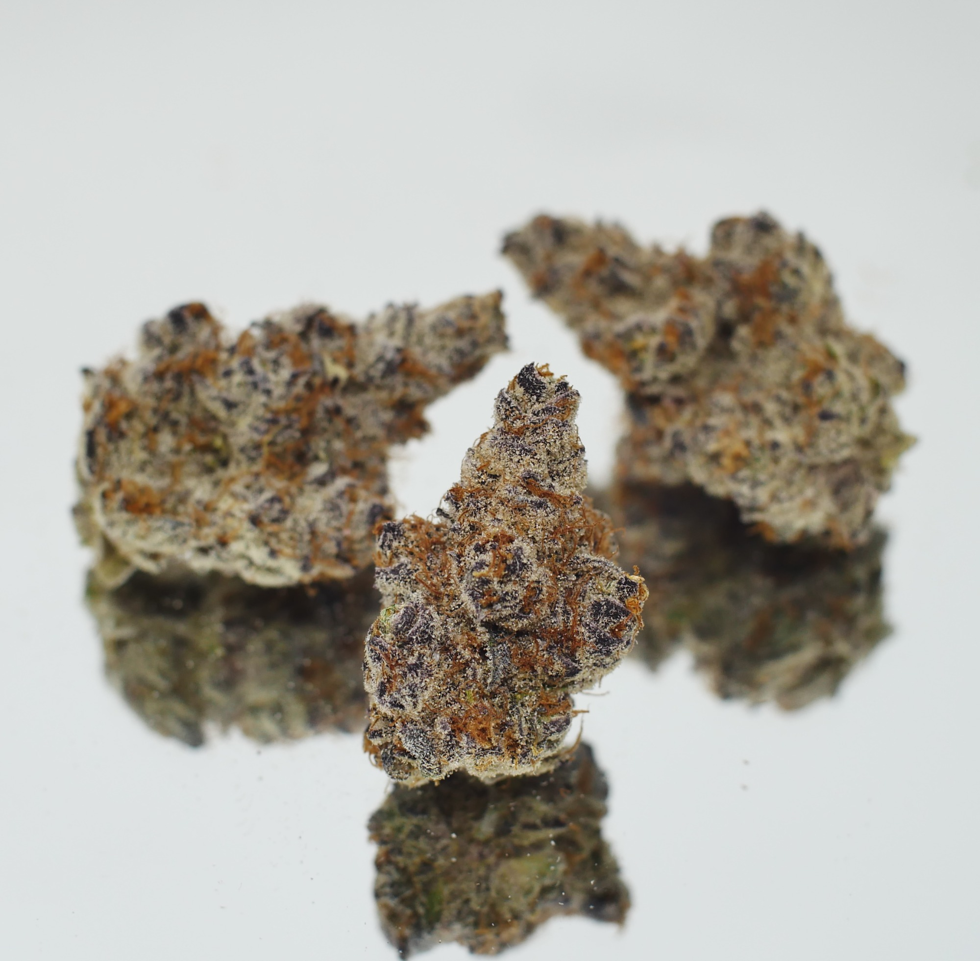 Photograph of product: POT Roast - Focus North - 28g