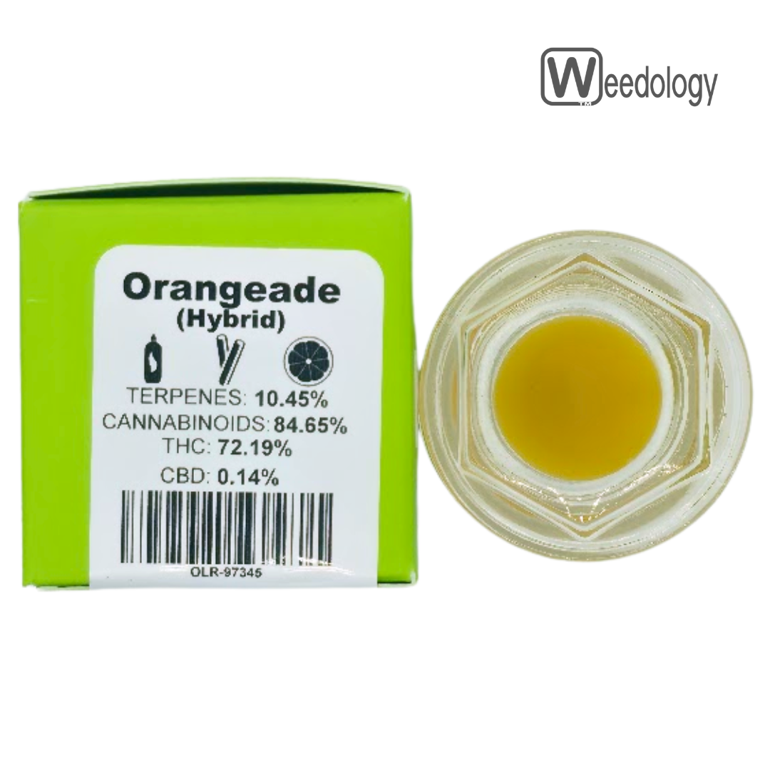 Photograph of product: BobSled 1g ORANGEADE LR