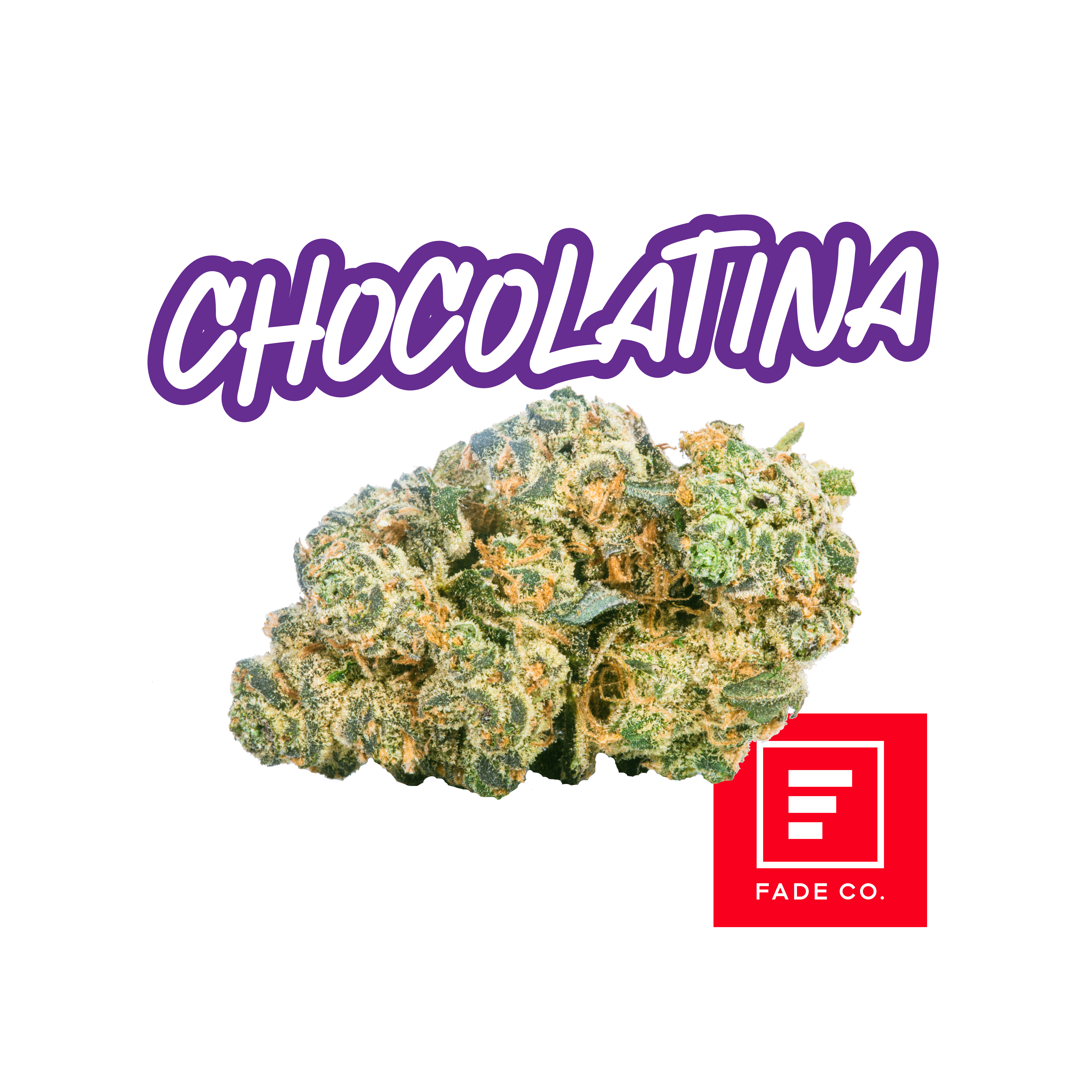 Photograph of product: Chocolatina B | 3.5g