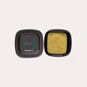 Photograph of product: Gelato 41 | Kief Concentrate