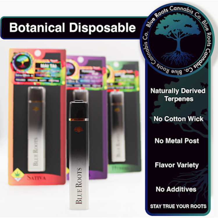 Photograph of product: BLUR Botanical Disposable 1g - Grape Kush