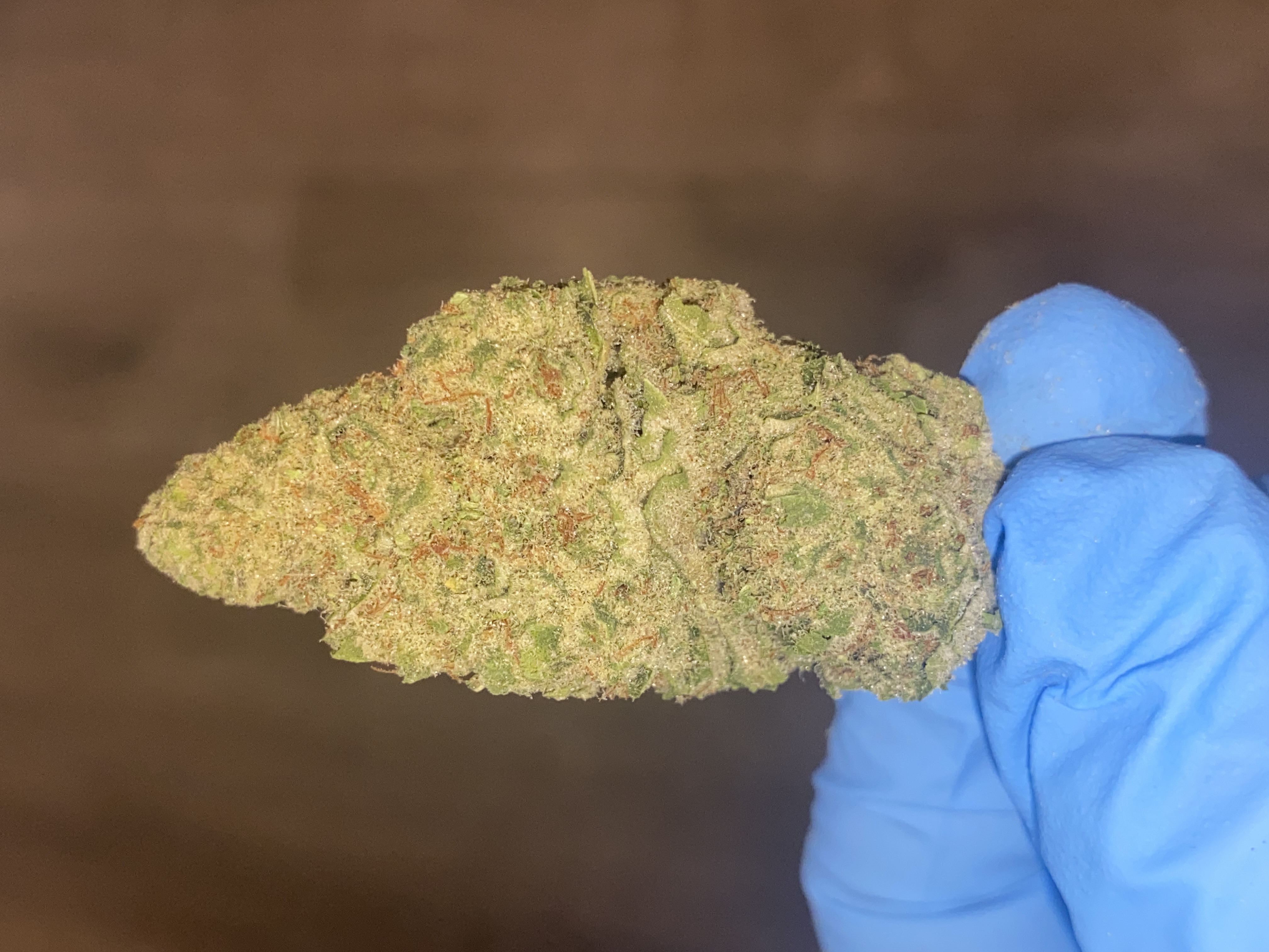 Photograph of product: Pink Pie | Premium Flower - 28g