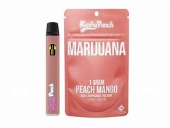 Photograph of product: 1g - Kushy Punch - Peach Mango - Disposable Vape
