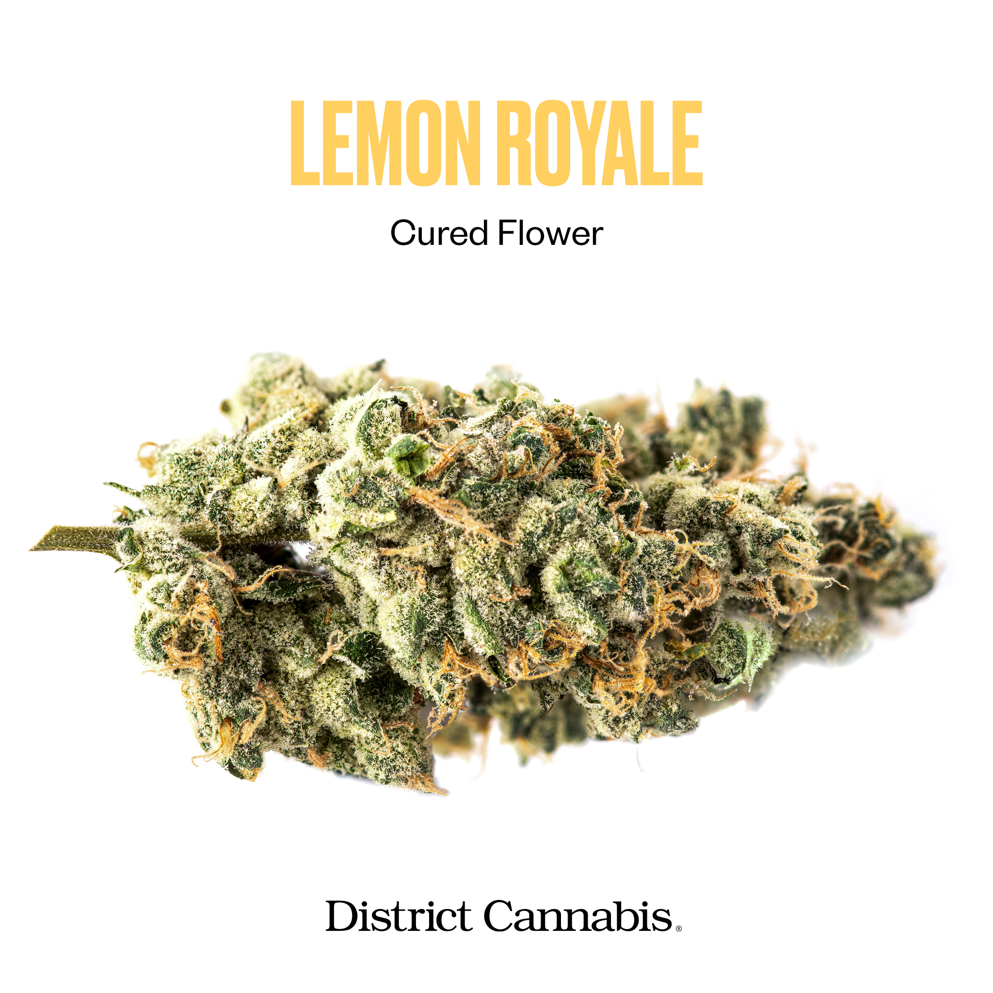 Photograph of product: Lemon Royale 3.5g - District Oui'd (House-Pack)