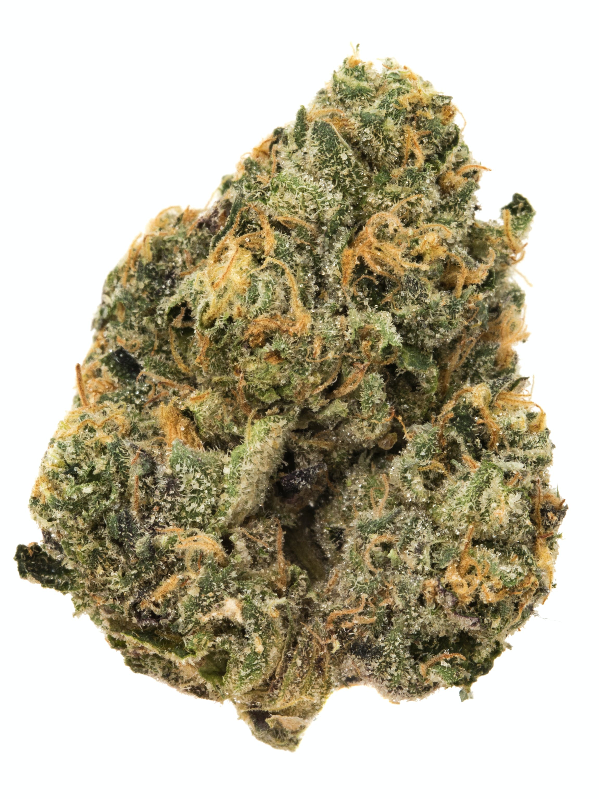 Photograph of product: Codes Jealousy Split Popcorn Flower (14g)