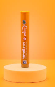 Photograph of product: Camp Oui'd Banana Kush Pre-roll (1g)