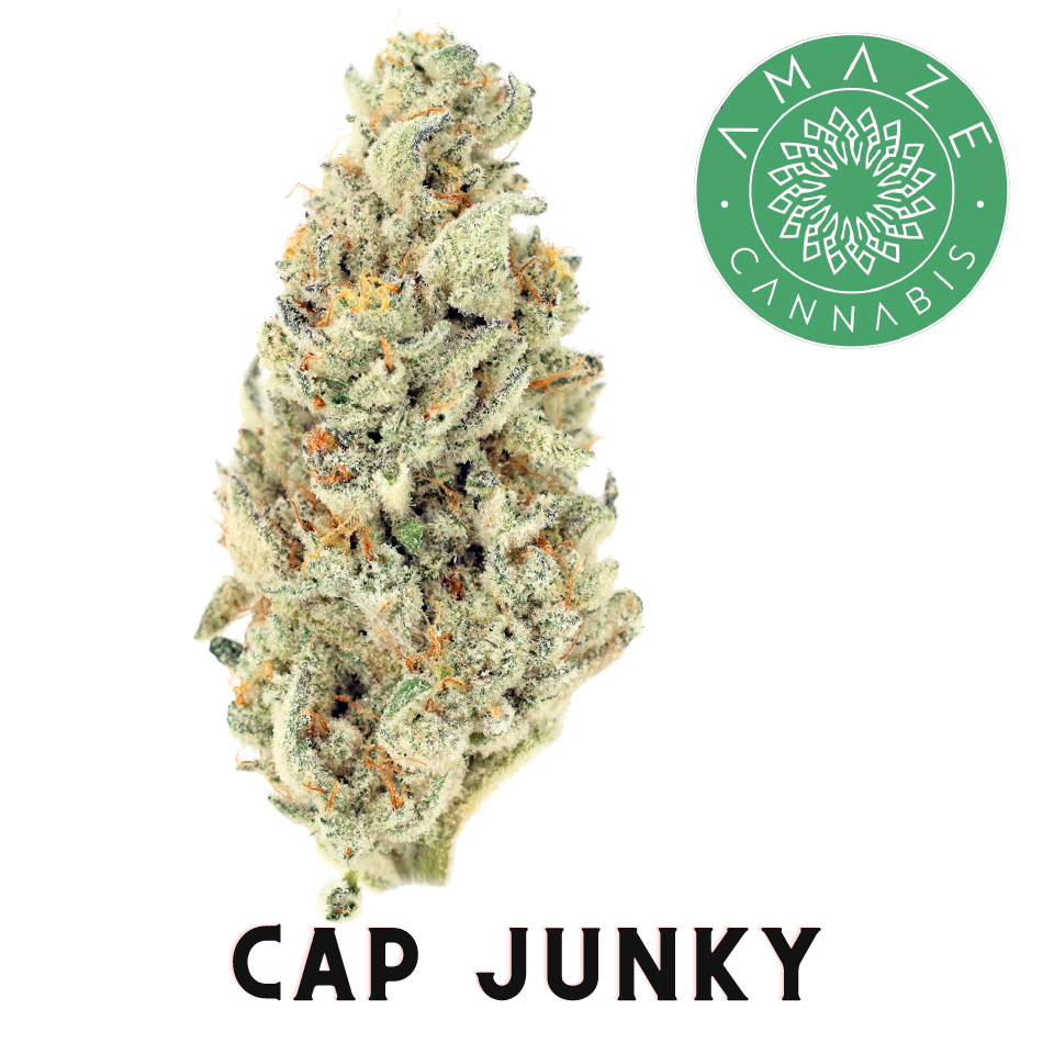 Photograph of product: AMAZE | Cap Junky - 3.5g