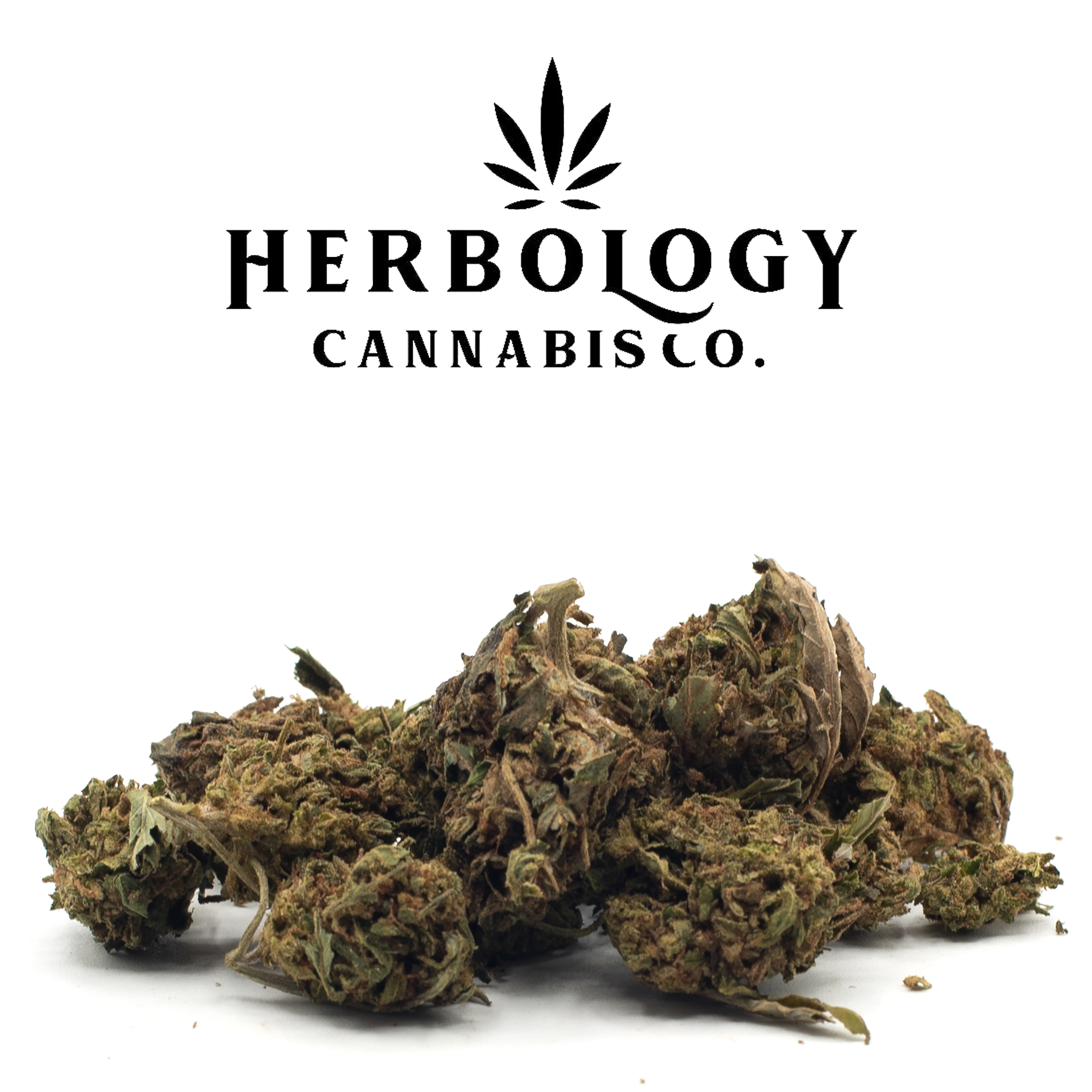 Photograph of product: Treez Canna | Gummiez | Deli - 28g