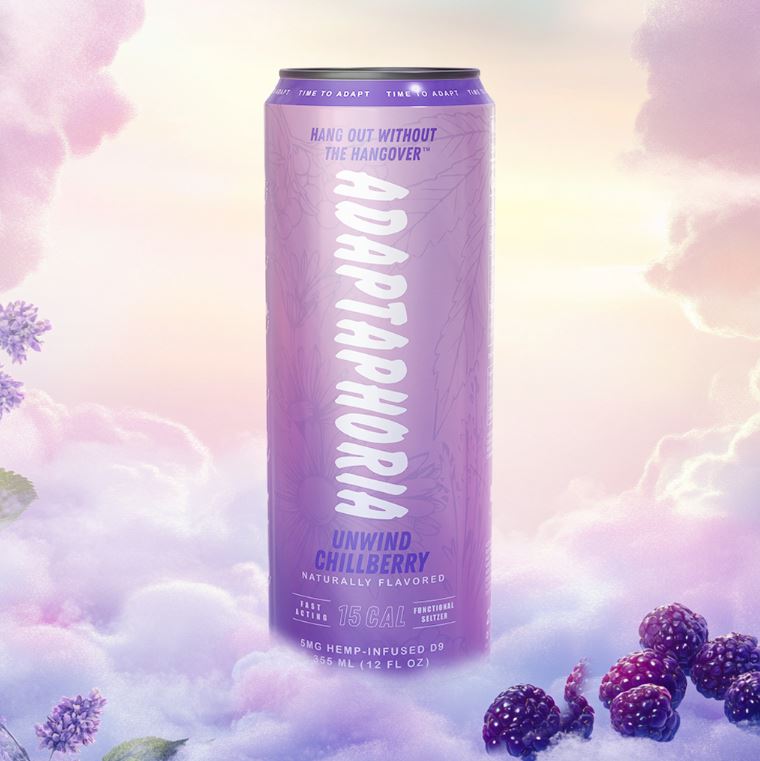 Photograph of product: Unwind Chillberry | Seltzer 4Pk