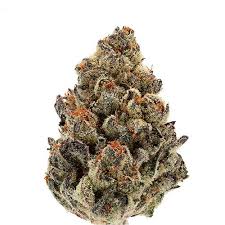 Photograph of product: Flower - Blue Dream - 3.5g
