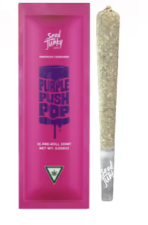 Photograph of product: Purple Push Pop | 1G Preroll