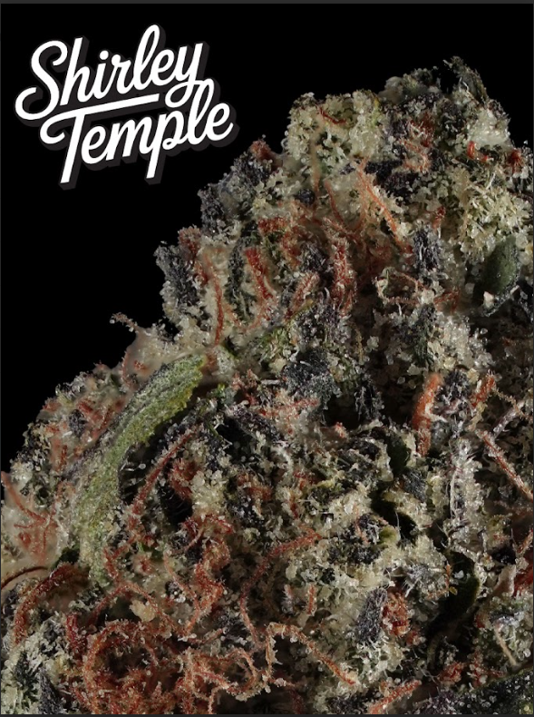 Photograph of product: Prolific Growhouse Shirley Temple 1g Flower Bag
