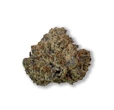 Photograph of product: Hippies | Garlic Cream (I-D) - 3.5g