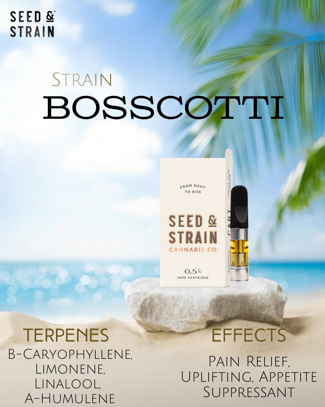 Photograph of product: SS Vaporizer - CO2 BSSCTTI