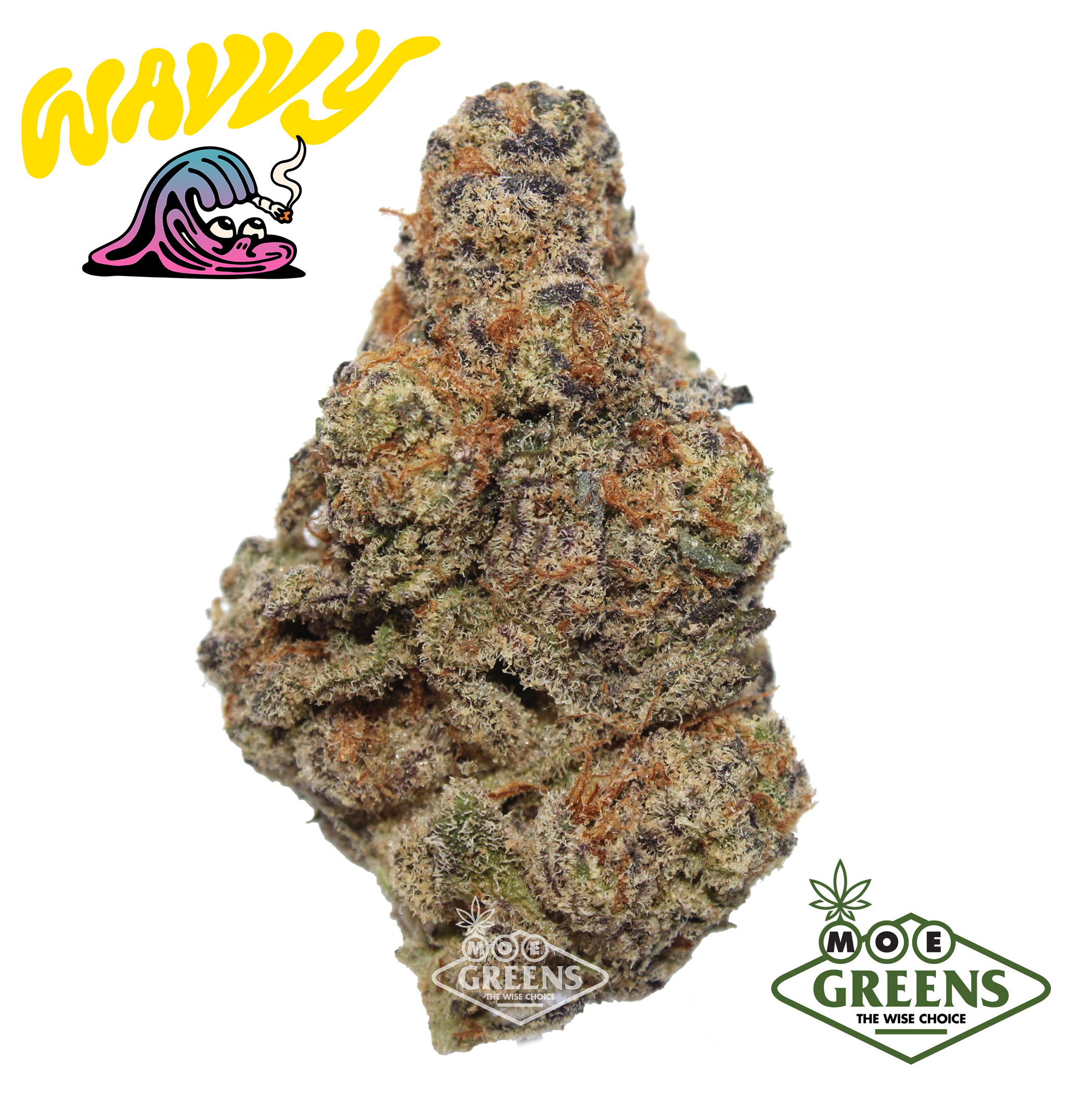 Photograph of product: GLITTER BOMB