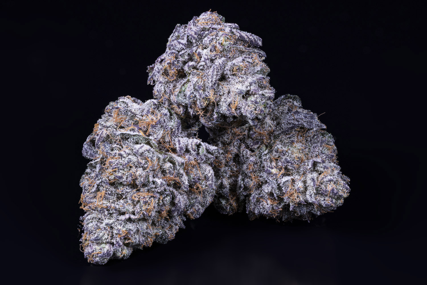 Photograph of product: Platinum Lemon Cherry Gelato - Bulk Flower - 28g