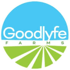 Photograph of product: Goodlyfe - Green Apple Disposables*