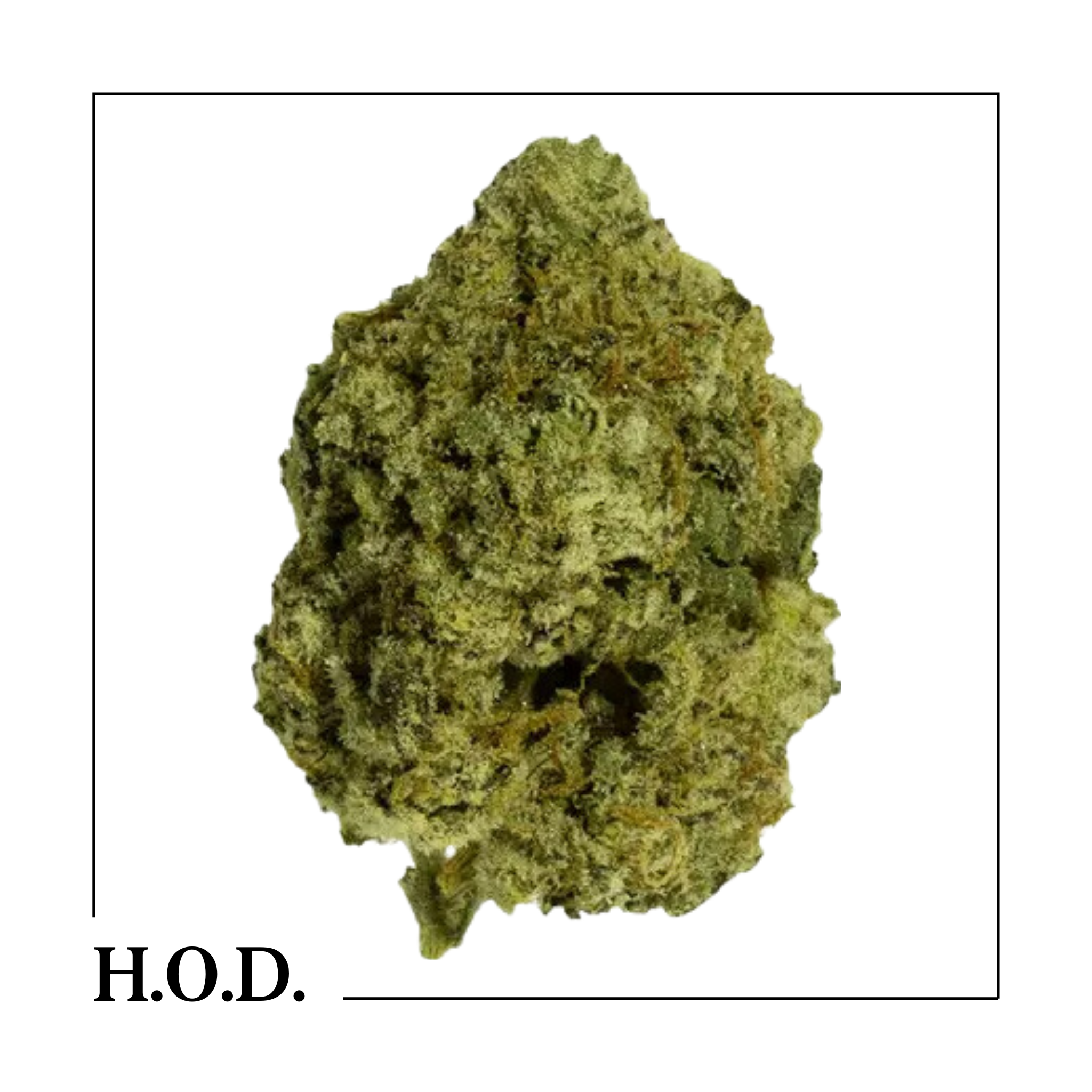 Photograph of product: Gummiez TH-ouiA Infused Flower