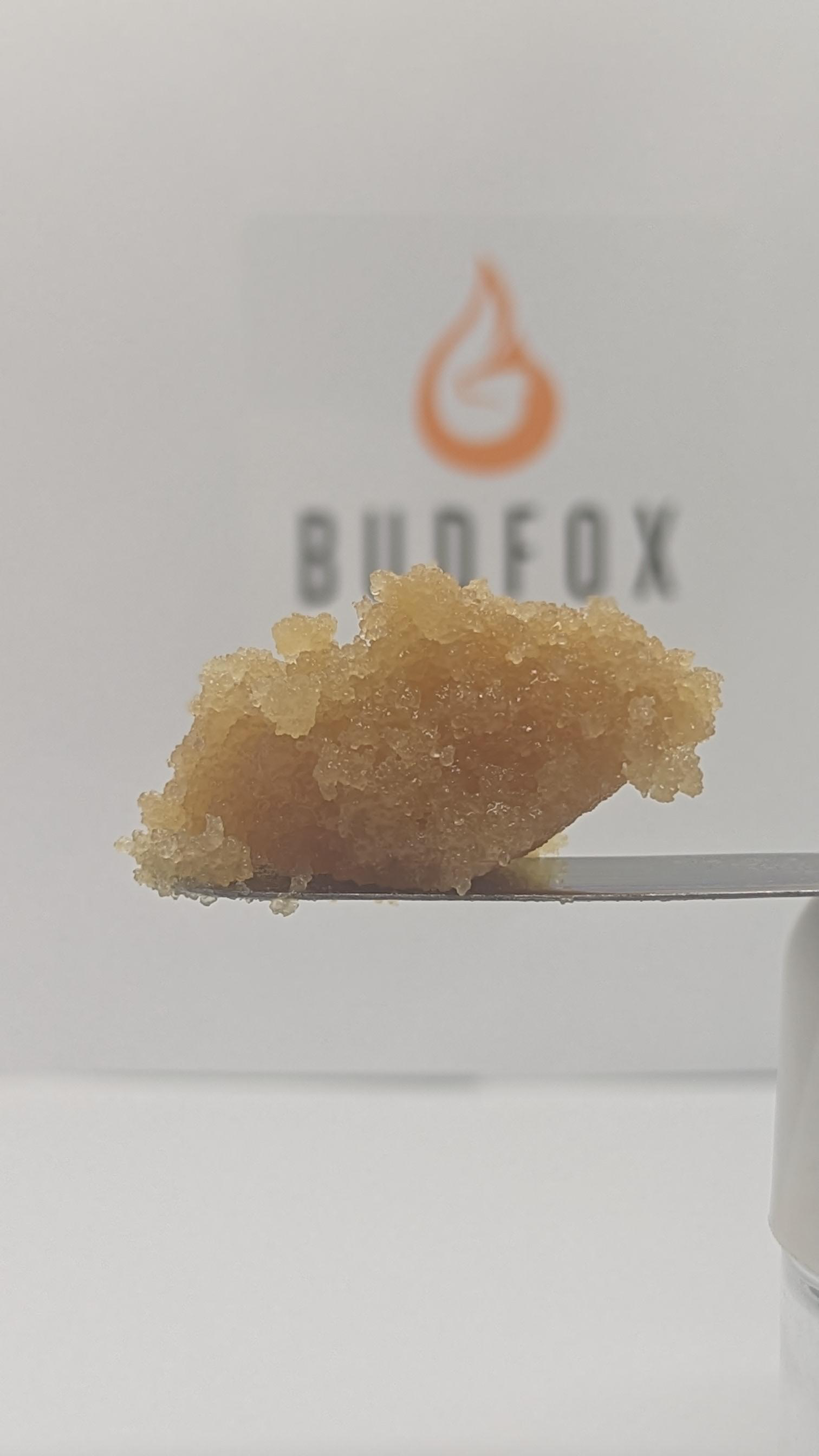 Photograph of product: Bud Fox (I) Prez Kush Sugar Wax