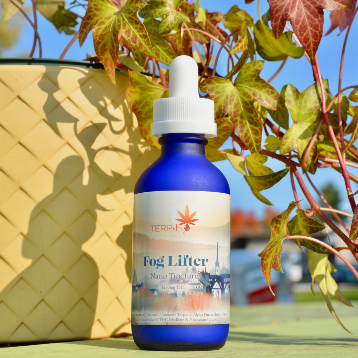 Photograph of Product: Terp H2o | Fog Lifter Nano Tincture | 1200mg