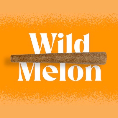 Photograph of product: Doinks | Infused Blunt | Wild Melon | 1g