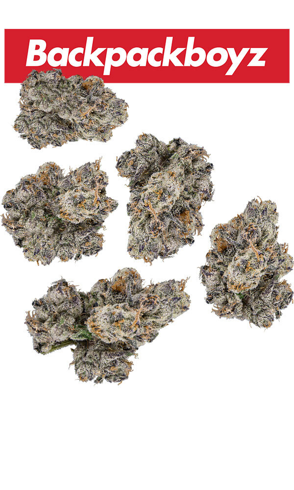 Photograph of product: $40 7g Smalls - Blue Guava Gelato - BackPackBoyz