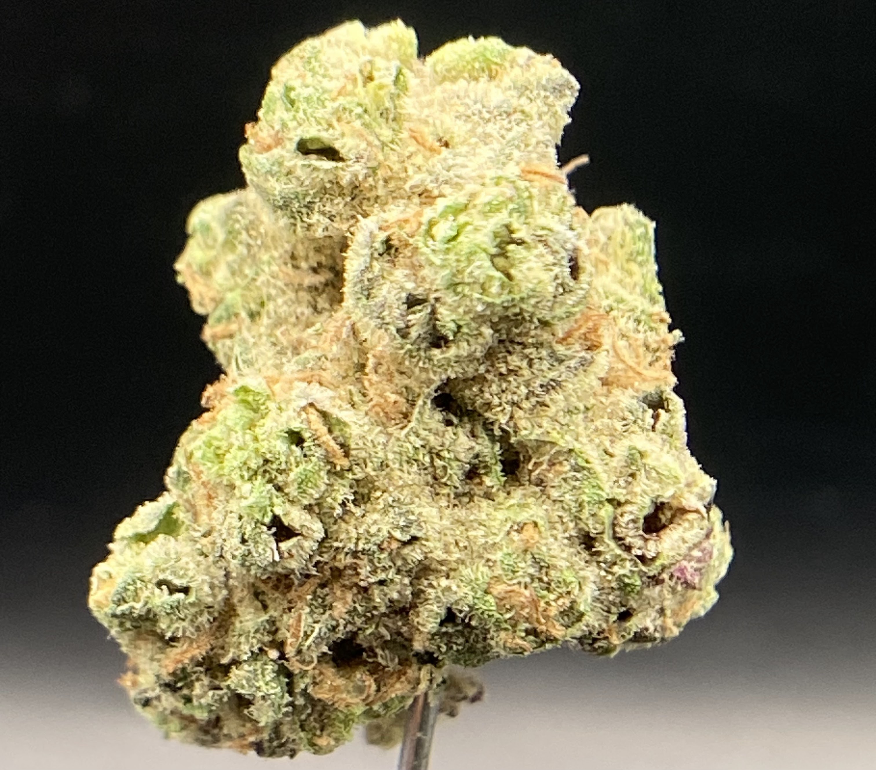 Photograph of product: Sticky Farms | Garlic Juice - 3.5g