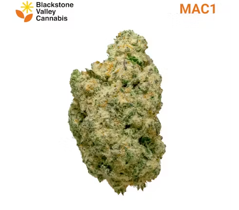 Photograph of product: MAC1 | Flower | 3.5g