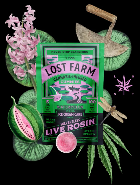 Photograph of product: Watermelon x Ice Cream Cake | Live Rosin Gummies 100mg 20pk