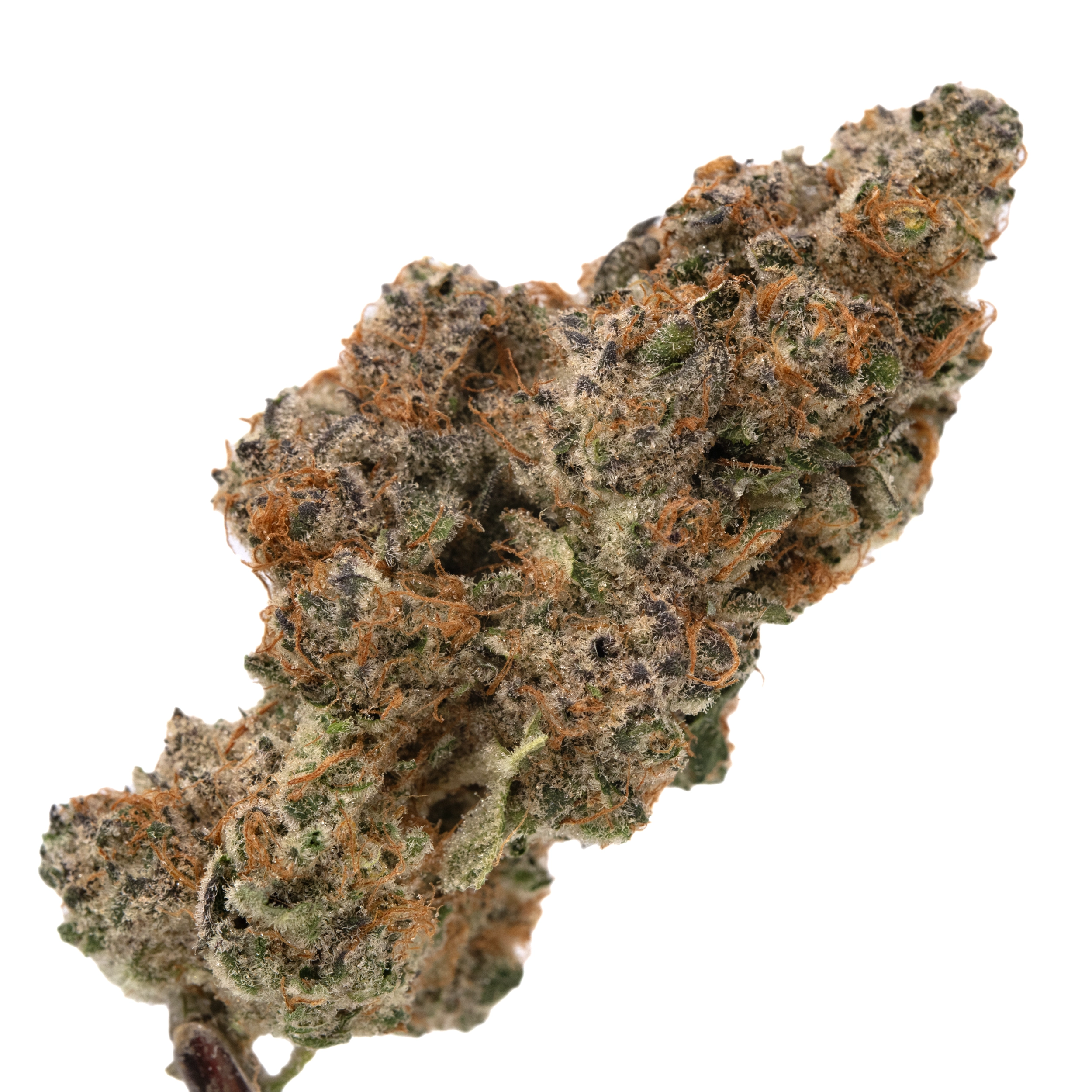Photograph of product: 3.5g Super Boof