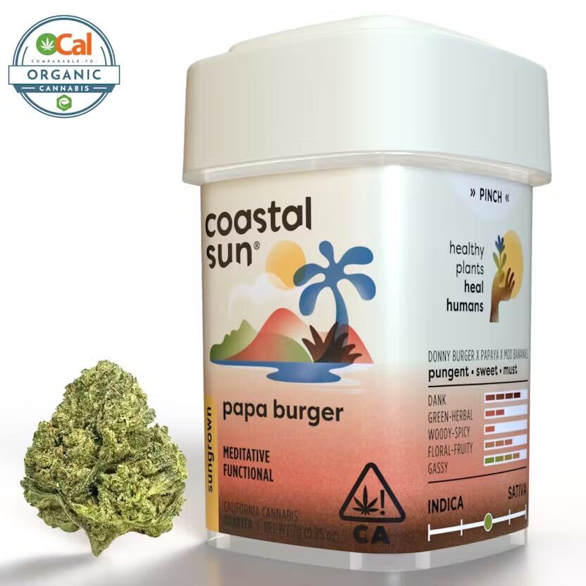 Photograph of product: Coastal Sun Sungrown 7g - Papa Burger (H)
